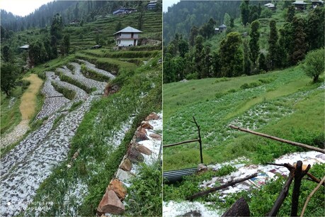 कुल्लू के सैंज में भारी ओले गिरे हैं.