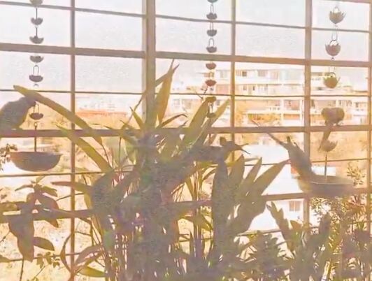 Shraddha Kapoor, Shraddha Kapoor Home, Shraddha Kapoor Life, Shraddha Kapoor Instagram, Shraddha Kapoor Photos, श्रद्धा कपूर, श्रद्धा कपूर का घर