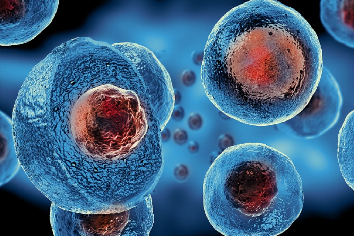 Health, Medicine, Stem Cell, Human Embryo, Clone of Human Embryo, Stem Cell treatment, 16 May, 16 May 2013, Medical Science,