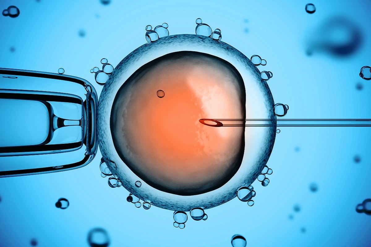 Health, Medicine, Stem Cell, Human Embryo, Clone of Human Embryo, Stem Cell treatment, 16 May, 16 May 2013, Medical Science,