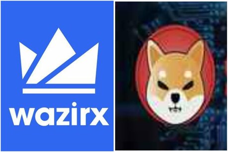WazirX के यूजर्स को िशिबा इनु क्वाइन की खरीदारी में नुकसान उठाना पड़ा थ्ज्ञा क्योंकि ये ज्यादा कीमत पर लिस्ट हुई थी.