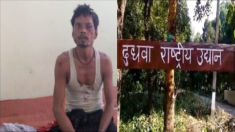 टाइगर हमले में घायल हुआ शख्स निकला कोरोना पॉजिटिव, बाघों में भी संक्रमण फैलने का खतरा