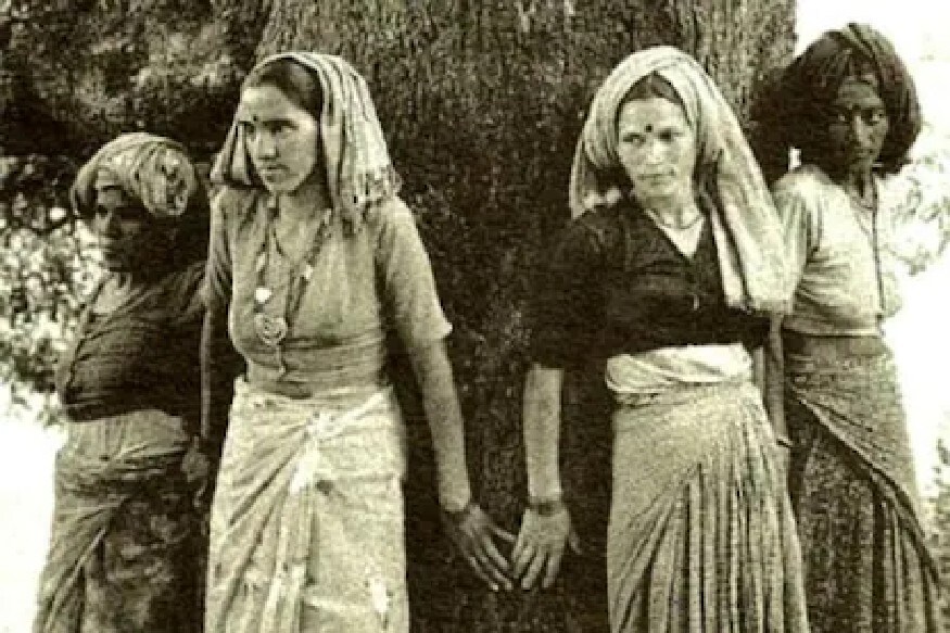 क्या चिपको आंदोलन से हमने कोई सीख ली क्या चिपको आंदोलन से हमने कोई सीख ली