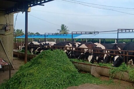 पशु किसान क्रेडिट कार्ड