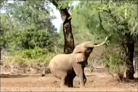 फोटो सौ. (ट्विटर- @TheSun)