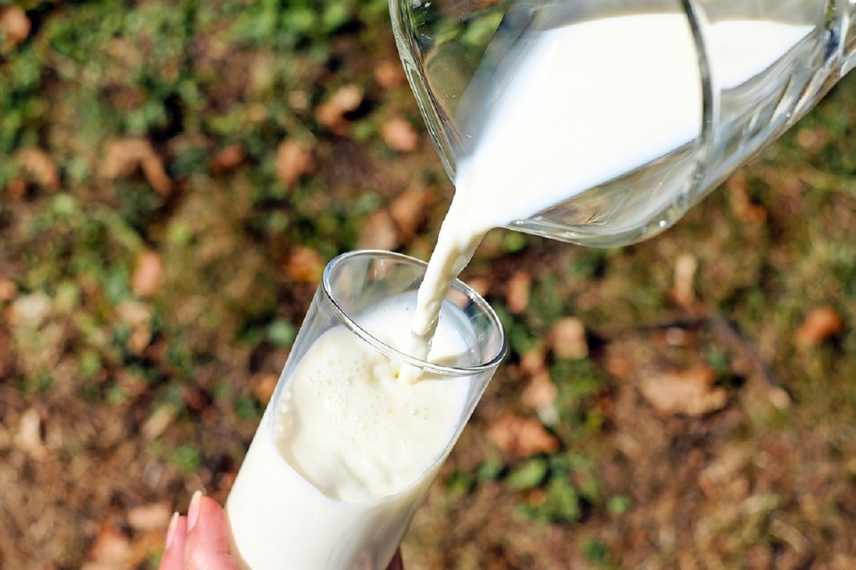 दूध पीने का सही समय क्या है और इसे कब पीना हो सकता है नुकसानदेह? जानें –  News18 हिंदी