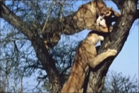 फाइल फोटो.