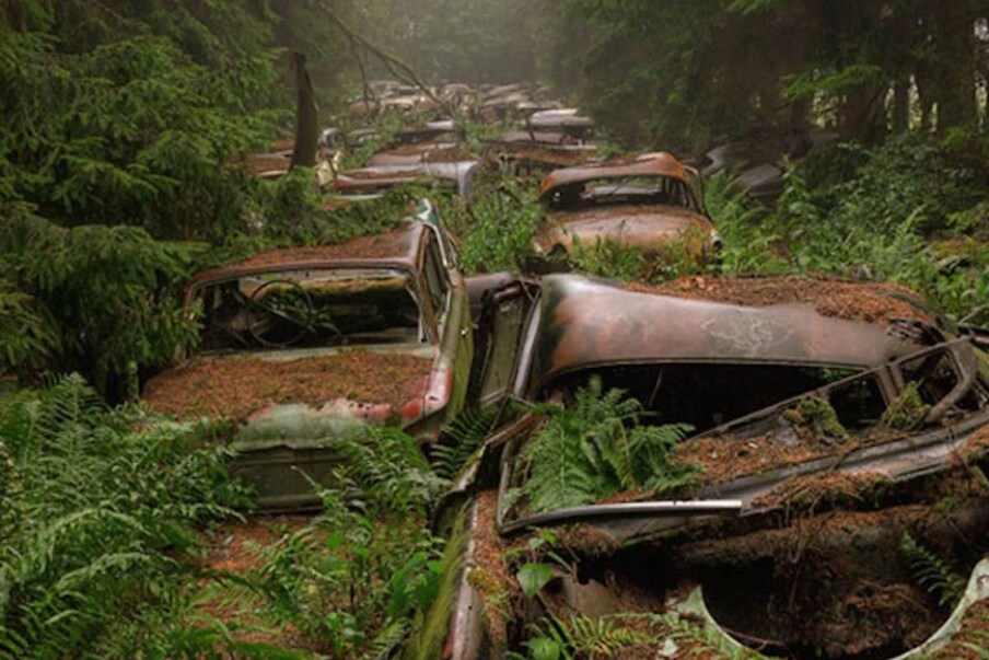 इंसानों की कब्रें तो आपने देखी होंगी, लेकिन एक जंगल सैकड़ों कारों की कब्रें (Graveyard) बनी हुई हैं. Chatillon Car Graveyard ऐसी जगह है, जहां कारों का ट्रैफिक जाम (Traffic Jam over 75 Years) लगे 75 साल बीत चुके हैं. अब इन कारों में से कई पेड़ों की टहनियां निकल चुकी हैं. (Photo Credit- imgur.com)