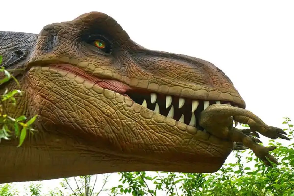 Environment, Dinosaurs, T Rex, bite, Humans, Hyenas, Juvenile T Rex, Bite Force, Food chain, Fossils, Palaeontology,