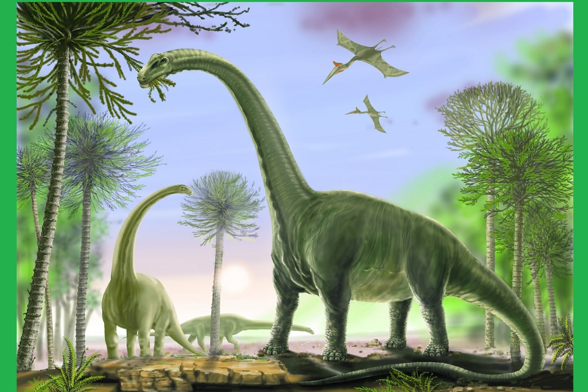 Environment, Australia, dinosaurs, Dinosaur, Australotitan, Fossils, Cooper, Sauropod, Titanosaur,