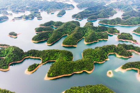 साफ पानी की झीलों (Freshwater lake) में ऑक्सीजन का कम होना अच्छा संकेत नहीं है. (प्रतीकात्मक तस्वीर: shutterstock)