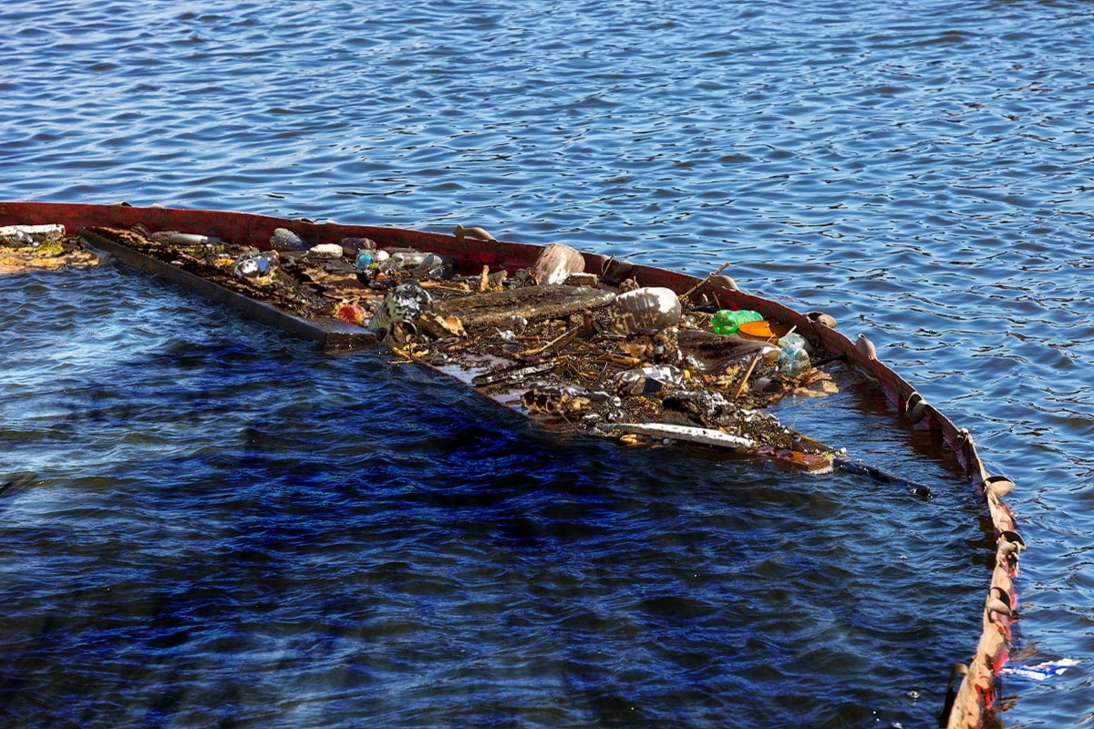 Environment, Climate Change, Human life, Livelihood, Ocean, World Ocean Day, World Ocean day, Water Pollution, Ocean Pollution,