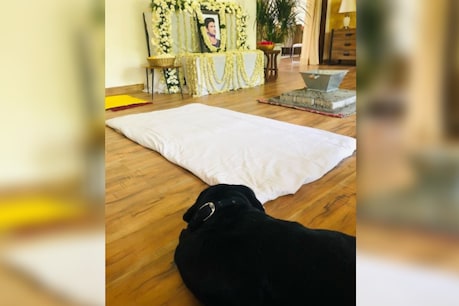 Fudge is seen sitting in front of Sushant's picture. Photo Credit: @Priyanka Singh