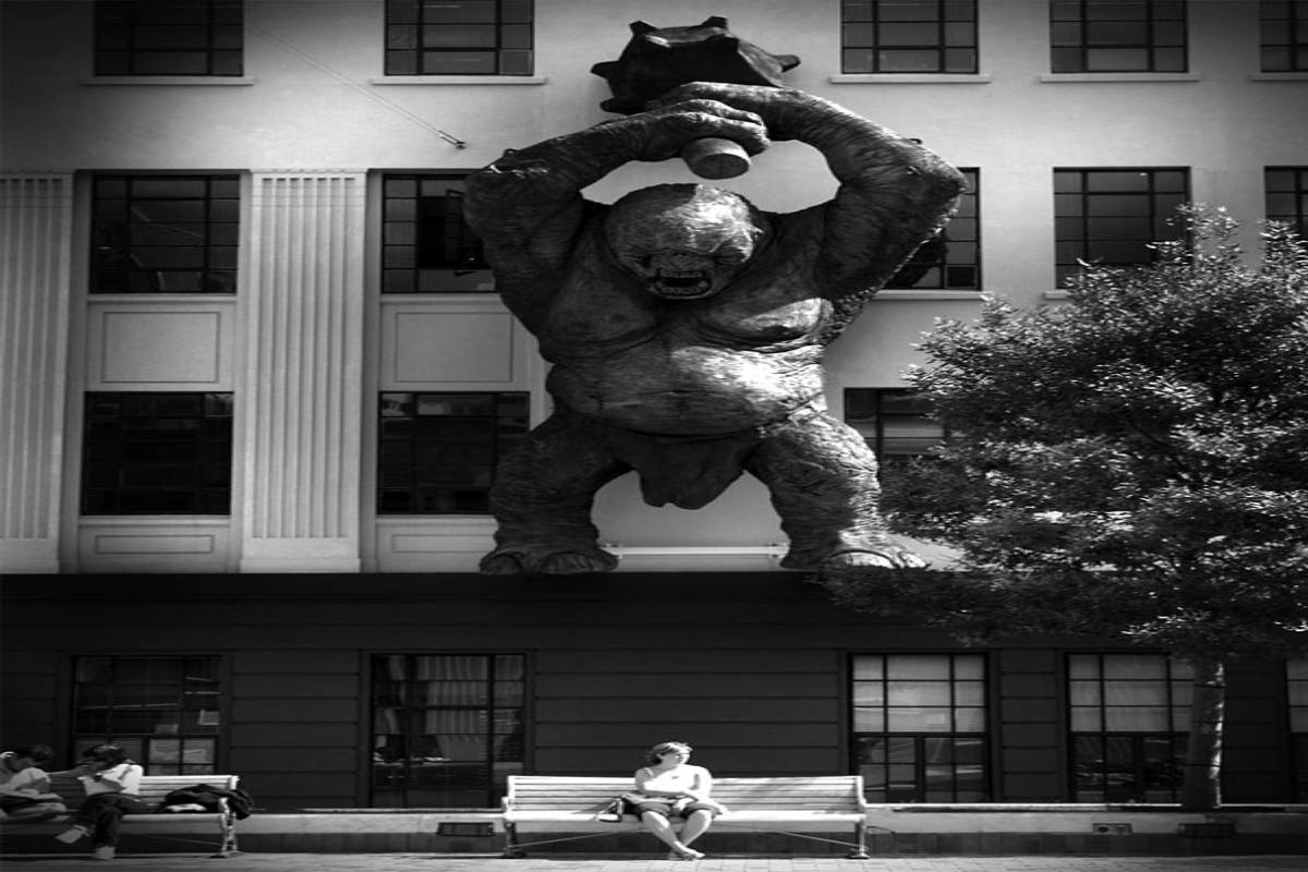 viral pictures, perfect timing, some perfect pictures, internet viral photos, perfect timing pictures