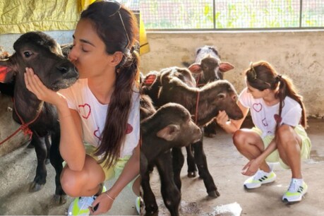 सोशल मीडिया पर ये तस्वीर वायरल हो रही है. फोटो साभार-@dishapatani/Instagram