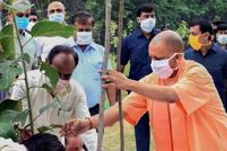 मुख्यमंत्री योगी आदित्यनाथ करेंगे वन सफ्ताह की शुरुआत