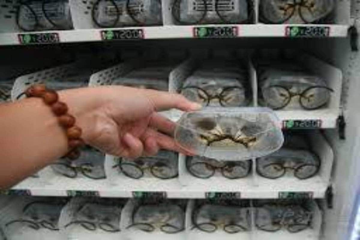 interesting facts,interesting facts about china, china news, vending machines for live crab, crocodiles and sharks sold in malls, Crabs Vending Machine