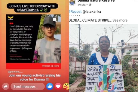 मध्य प्रदेश के जबलपुर में स्पोर्ट सिटी के नाम पर हजारों पेड़ काटे जाने का अंदेशा जताया जा रहा है. (Twitter)