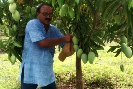 निर्मल माजी अब दूसरे किसानों को भी आम बगान लगाने के लिए प्रेरित कर रहे हैं.