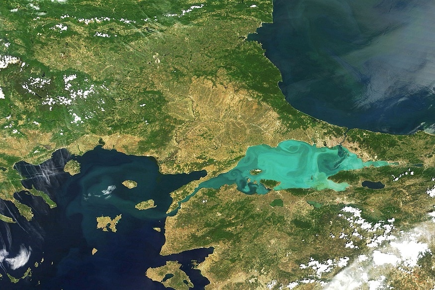 sea snot outbreak Turkey