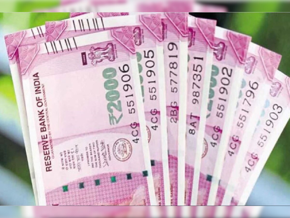 Multibagger stocks 2021 you can earn money from Jindal Group share check return history varpat – News18 हिंदी