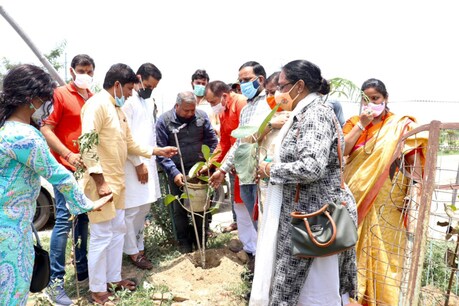नोएडा के सेक्टर 115 में पौधरोपण किया गया.