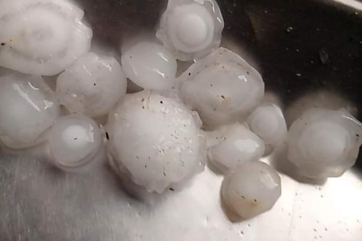 Sri Ganganagar, Ghadsana-Ravala, torrential rain, water entered the houses, people filled with buckets, threw them, Rajasthan News Updates राजस्थान के श्रीगंगानगर में दोपहर बाद जमकर बारिश हुई और कुछ जगहों पर ओले भी गिरे.