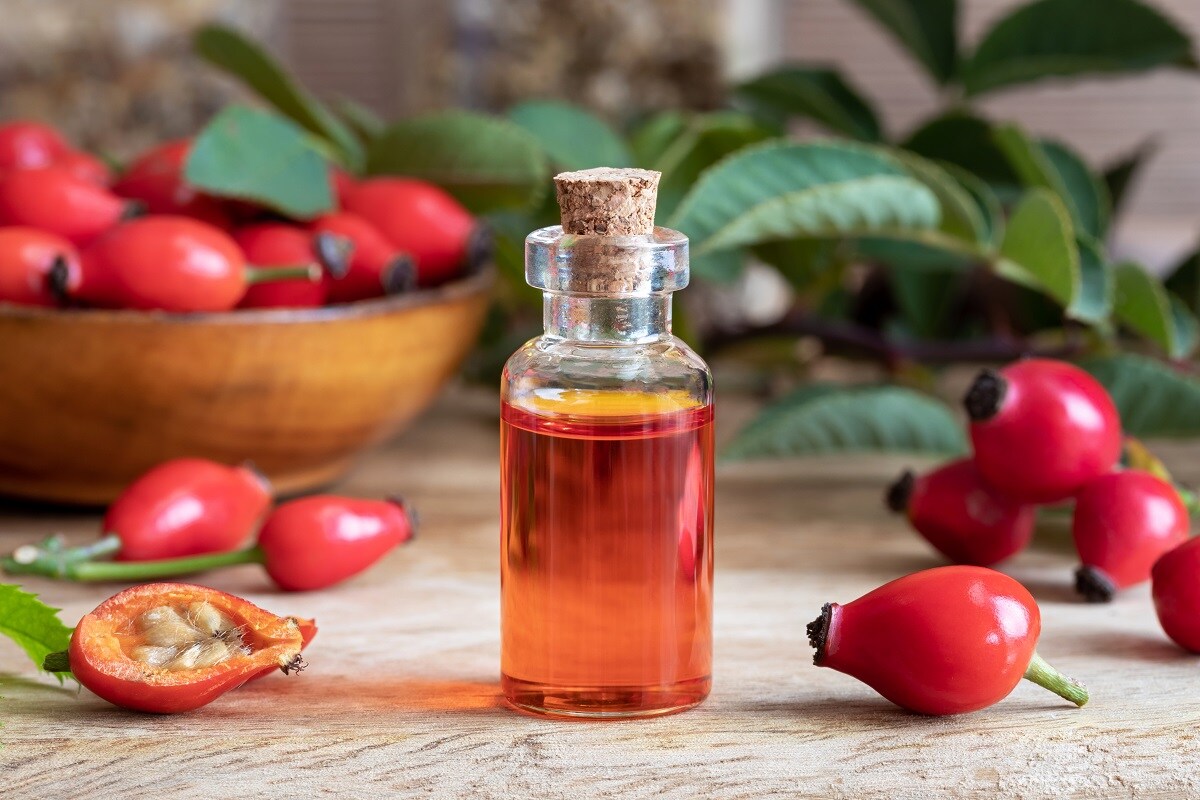 Amazing Skin Benefits Of Rosehip Oil News18 Hindi