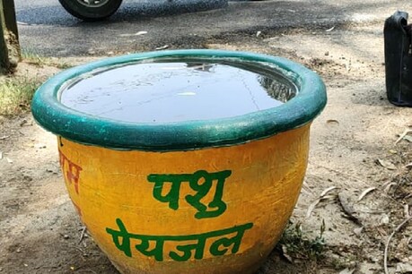मुफ्त में पानी के बर्तन उपलब्ध कराए जा रहे हैं