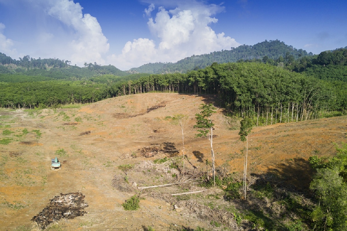 Climate Change Vital Signs worsening Earth condition at alarming Rate