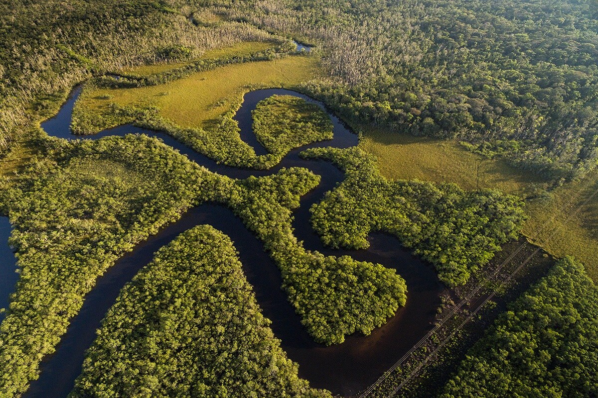 Environment, Climate Change, Global Warming, Climate, Amazon Forest, South America, Brazil, Deforestation, CO2 Emission,