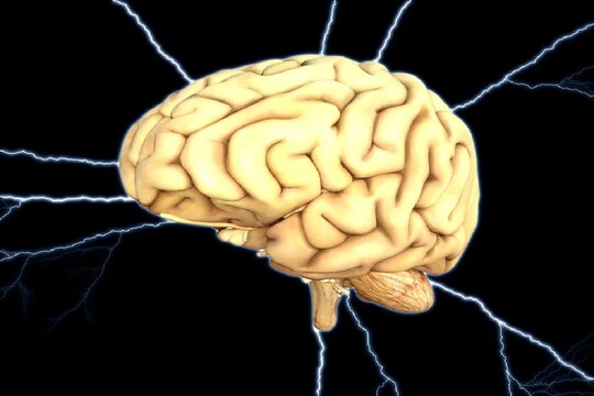 वैज्ञानिकों ने न्यूरोसर्जरी के मरीजों के आंकड़ों के आधार पर दिमाग (Brain) में स्थित इस सर्किट का पता लगाया है. (प्रतीकात्मक तस्वीर: Pixabay) 