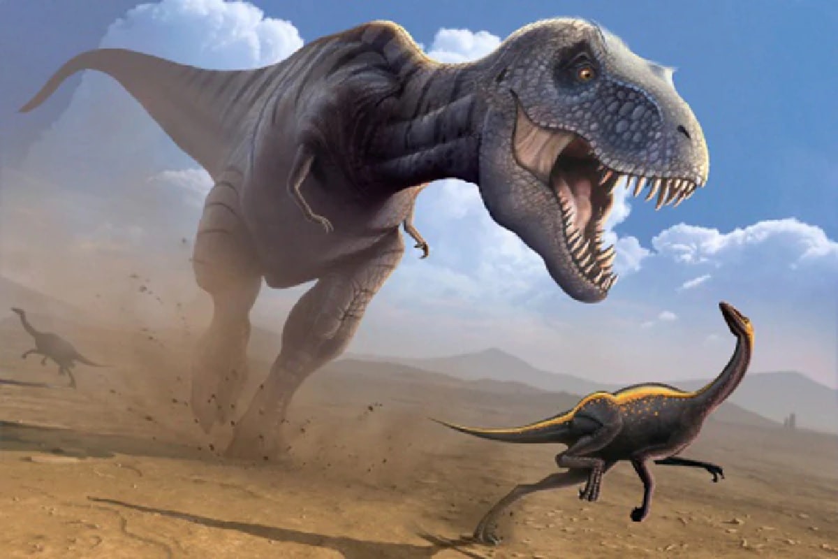 Space, Dinosaur, Extinction Dinosaur Extinction, Asteroid Strike, Meteor Strike, Mass Extinction,
