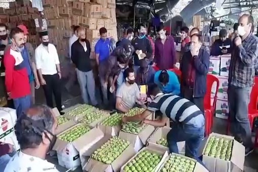 हिमाचल में मंडियों में पहुंचा सेब. हिमाचल में मंडियों में पहुंचा सेब.