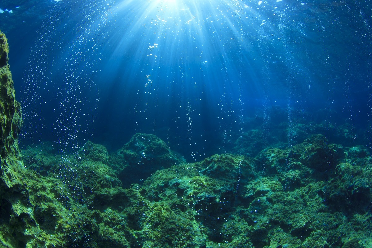 Environment, Earth, History, Earth History, Climate, vegetation on earth, Plants, Climate Control System, Land Plants, Oceans,