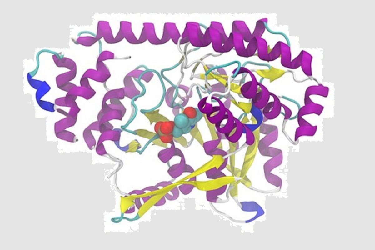 Health, AI, Google, Genes, DNA, Protein, Genome, Genome, Protein structure, Human Genome,
