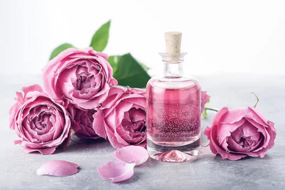 How To Make Rose Water Without Roses