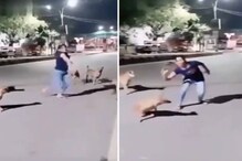 Funny Video: वीरू को छोड़ 'कुत्तों' के सामने झूमकर नाची बसंती, कुत्ते भौचक्के!