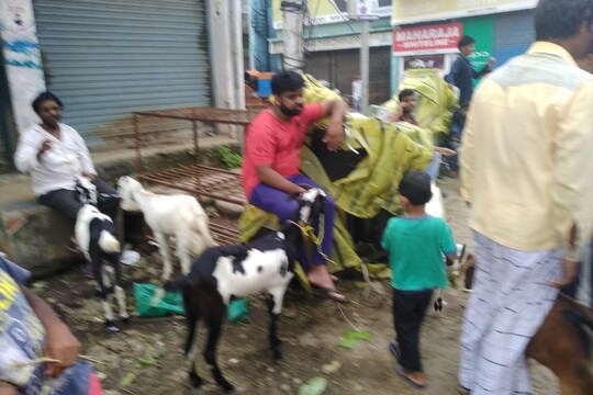 राजधानी में रविवार को लॉकडाउन के बावजूद शहर के बीचों बीच मेन रोड में बकरीद को लेकर बकरे का बाजार लगाया गया.