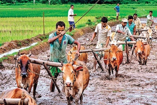 PM Kisan Yojana : 42 लाख अपात्र किसानों के खाते में ट्रांसफर हुए 3000 करोड़,  सरकार कर रही वसूली - Pm kisan scheme 42 Lakh Ineligible Farmers get 3000 cr  govt now recovering money ndss– News18 Hindi