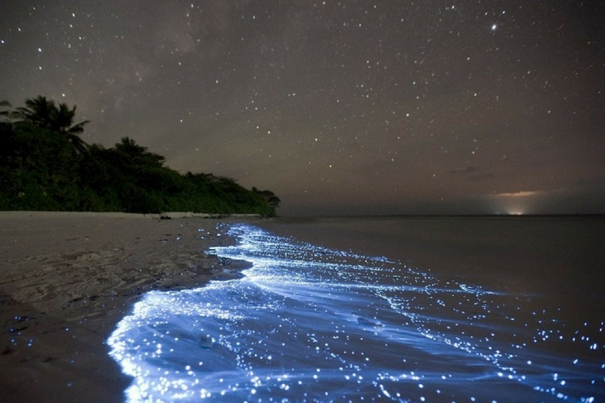 मालदीव 'सी ऑफ स्टार्स' में उतरते हैं जमीन पर सितारे, पानी में है जादू