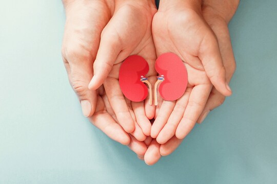 काफी देर तक पेशाब रोके रहने की वजह से किडनी को भारी नुकसान पहुंचता है. Image Credit : shutterstock