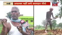 Ranchi : बिरसा हरित योजना का हाल बेहाल, पौधे के लिए खोदे गड्डे अभी तक पड़े है खाली | News18 Bihar