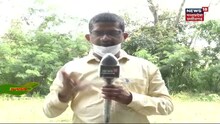 Annadata | बंपर पैदावार करने के लिए सोयाबीन की फसल में करें ये जरुरी कार्य | News18 MP Chhattisgarh