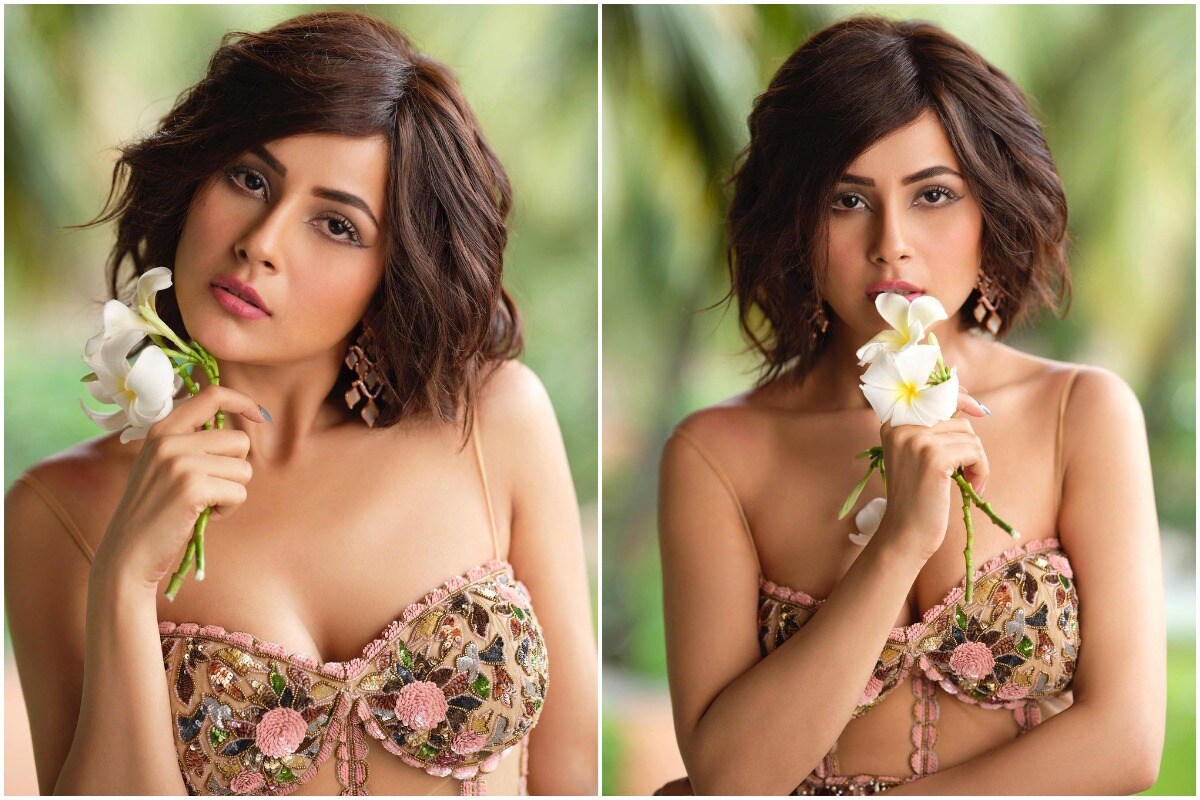 नई दिल्लीः टीवी शो 'बिग बॉस' से मशहूर हुईं शहनाज गिल (Shehnaaz Gill) ने अपनी लेटेस्ट फोटोशूट से अपनी कुछ ग्लैमरस तस्वीरें (Shehnaaz Gill Photos) शेयर की हैं, जिन्हें मशहूर फोटोग्राफर डब्बू रतनानी (Dabboo Ratnani) ने क्लिक किया है. एक्ट्रेस का खूबसूरत अंदाज हर किसी को दीवाना बना रहा है. (फोटो साभारः Instagram/shehnaazgill)