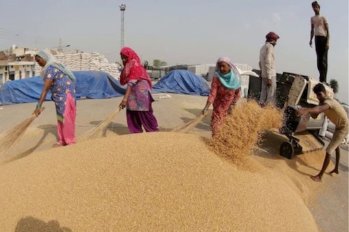 Rajasthan News : 82 हजार कर्मचारी ने दो रुपए किलो में खरीदा गरीबों का गेहूं– News18 Hindi