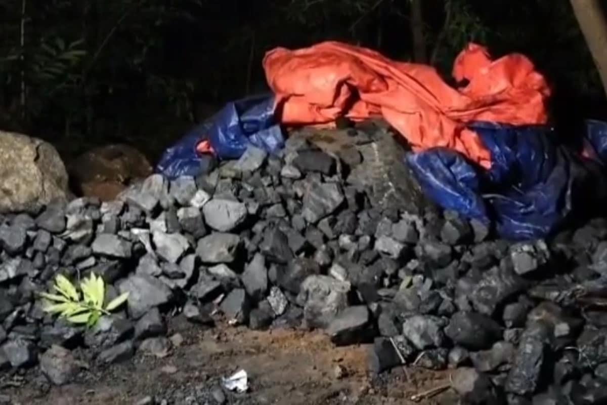 धनबाद में अवैध कोयला कारोबार का खुलासा, गोलमारा जंगल से 40 टन कोयला जब्त- police seized 40 tonnes coal from Golmara forest jhnj – News18 हिंदी
