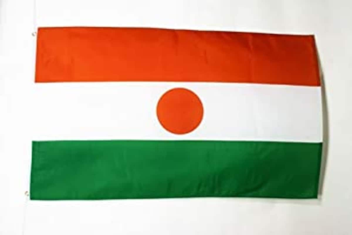 niger flag