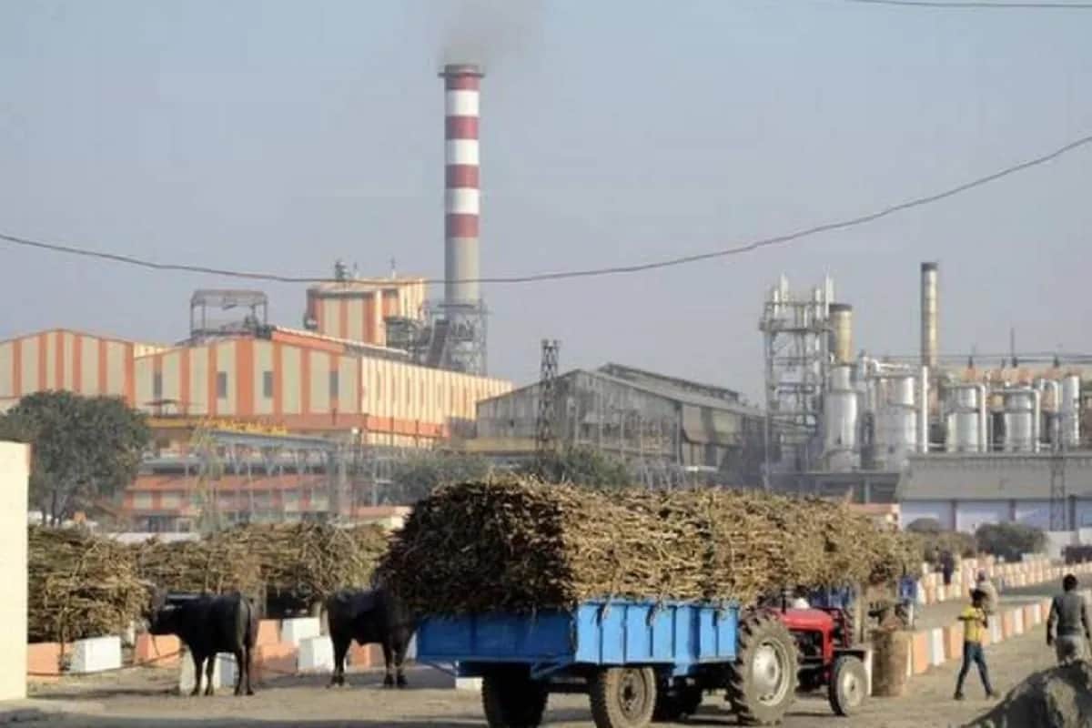 Sugarcane, Modi Government, ethanol blending, Ethanol Blending With Petrol, Sugarcane Production, Three Sugar Seasons, sugarcane dues, Sugar Mills, Sugarcane Ethanol, Sugarcane farmers, sugarcane arrears, Ministry of Food and Consumer Affairs, मोदी सरकार, गन्ना किसान, गन्ना का बकाया, केंद्र सरकार, 3 चीनी सीजन, 22,000 करोड़ रुपये का राजस्व, चीनी मिल, किसान, ओएमसी, एथेनॉल की बिक्री,गन्ना किसानों के बकाये का समय पर भुगतान सुनिश्चित करने की दिशा में महत्वपूर्ण कदम उठाया गया है.Big news for sugarcane farmers modi government Sugar mills procure worth Rs 91 thousand crore in seasons 2020 21 nodrss