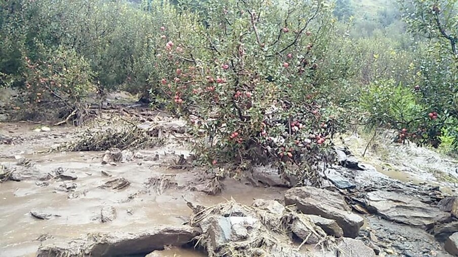  कुल्लू के मनाली में बुरुआ गांव के नाले में भारी बारिश से बाढ़ आ गई और इससे सेब के बगीचों को नुकसान पहुंचा है. लोगों के घरों में मलबा घुस गया और रात नाले में आई बाढ़ से अफरातफरी मच गई. यही नहीं नाले में आई बाढ़ का पानी गांव की तरफ मुड़ गया. बड़े पत्थरों और मलबे के चलते फसलों को भी नुकसान हुआ. सूचना मिलते ही प्रशासन की टीम मौके लिए रवाना हुई.